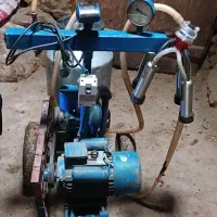 شیر دوش|لوازم جانبی حیوانات|دیواندره, |دیوار