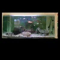 اکواریم قیمت مناسب