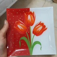 سرویس پذیرایی اوپال قدیمی طرح بانو و گل|ظروف سرو و پذیرایی|اهواز, نبوت|دیوار