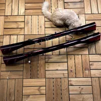 فونیکسfx-چراغ آریزو۵-چراغ۲۰۷ کروز-خطرچراغ فونیکس