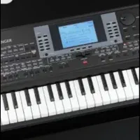 ارگ  KORGmicrARRANEER