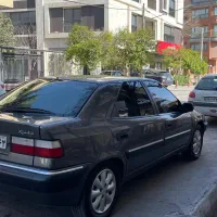 زانتیا در حد نو ۸۶ دلفینی