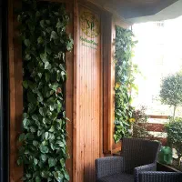 تراس گاردن، باغ عمودی و گرین وال SP 36-1