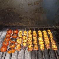 کباب پز آشپزخانه و یخچال در حد نو