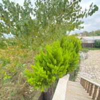 فروش ویلاباغ شهرکی1700متری مبله در منطقه آزاد|فروش خانه و ویلا|خشکبیجار, |دیوار