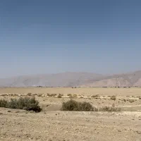 ده هکتار جهت اجاره