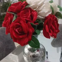 گل رز