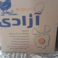تخم مرغ شانه ای ۱۹۰هزار .کارتنی ۱۱۵۰هزار|خوردنی و آشامیدنی|همدان, |دیوار