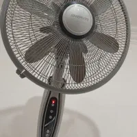 لوازم خانگی|فرش|خرمشهر, |دیوار