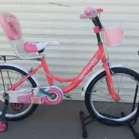 دوچرخه سایز ۲۰ خاص