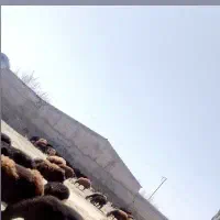 یک عدد کاور
