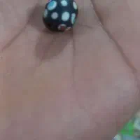 مهره چشم نظر (تیه)