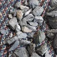 سنگ رایو آکواریوم وارداتی