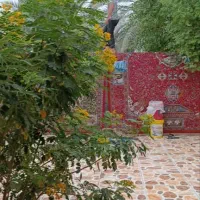 خانه ویلایی بایک مغازه و دامداری ۵۰۰متر