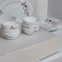 سرویس چینی و آرکوپال و آرکوفام مناسب جهیزیه|ظروف سرو و پذیرایی|بیرجند, |دیوار