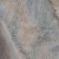 پارچه.خز پرز بلند خارجی