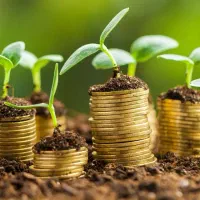 راهنمایی برای سرمایه گذاری