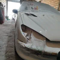 نقاش ماهر برای شراکت ۵۰ درصدتضمینی