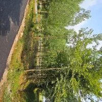 ۳۳۶ متر زمین تمام مسکونی ۲ بر|فروش زمین و ملک کلنگی|سیاهکل, |دیوار