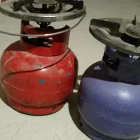 دعدد پیکنیک