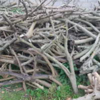 یک کامیون پر چوب مرکبات و میوه