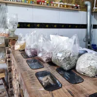 واگذاری کل اجناس عطاری|اجارهٔ مغازه و غرفه|سلطانیه, |دیوار