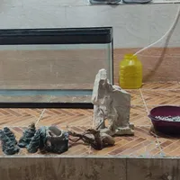 آکواریوم عالی