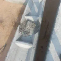 استخدام کارگر ساده و ارماتور بند ساده