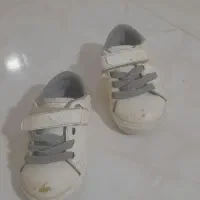 کفش بچه گانه کفش دخترم کوچیک شده