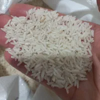 برنج طارم هاشمی