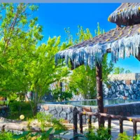 اجاره باغ مهریز|اجارهٔ کوتاه‌مدت ویلا و باغ|مهریز, |دیوار