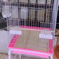 قفس طوطی|لوازم جانبی حیوانات|شاهینشهر, شهرک گلدیس|دیوار