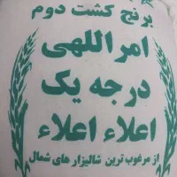 برنج دوبار کشت