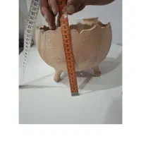 گلدان سفالی|گل و گیاه طبیعی|شیراز, نصر|دیوار