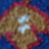 خارشتری