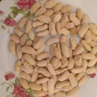 لوبیا|خوردنی و آشامیدنی|اسفرورین, |دیوار