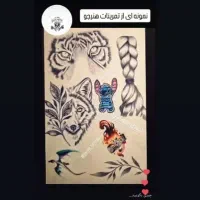 اجرا و آموزش انواع سبک های تتو بدن|خدمات آموزشی|پرند, فاز ۶|دیوار