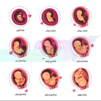 راهنمایی برای بارداری