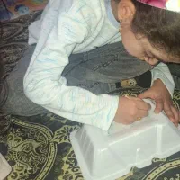مهدکودک با آموزش جذاب (زیر نظر روانشناسان باتجربه)|خدمات آموزشی|یزد, |دیوار
