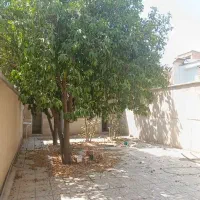 فروش خانه ویلایی ۱۸۵ متری ۲ طبقه در خیابان نادر|فروش خانه و ویلا|شیراز, اصلاح‌نژاد|دیوار