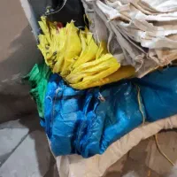 150 عدد گونی
