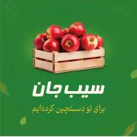 نیرو خانم کارگر ساده شیفت شب  شهر قدس