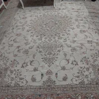 فرش ۱۲ متری|فرش|رشت, دیانتی|دیوار