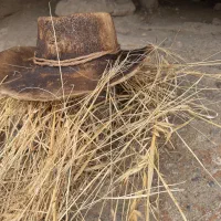 کلاه کابویی جنس نمد لوکس|لباس|تهران, فردوسی|دیوار