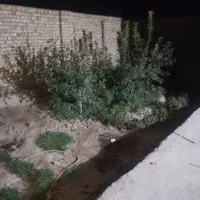 خاله روستای سرک|فروش خانه و ویلا|چناران, |دیوار