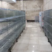 قفس هشت خان جوجه پران قناری عروس هلندی فنچ گرینچیک