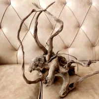 چوب دکوراکتیو اکواریوم بسیار زیبا