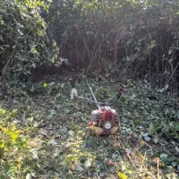 کار با دستگاه علف زنی