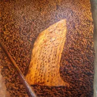 خوراکی  مخصوص شرکت ها کبابی و طباخی