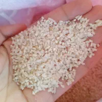 برنج نیم دانه|خوردنی و آشامیدنی|چابکسر, |دیوار